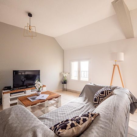 Appartement Chaleureux Avec 2 Grandes Chambres Saint-Rambert-dʼAlbon 외부 사진