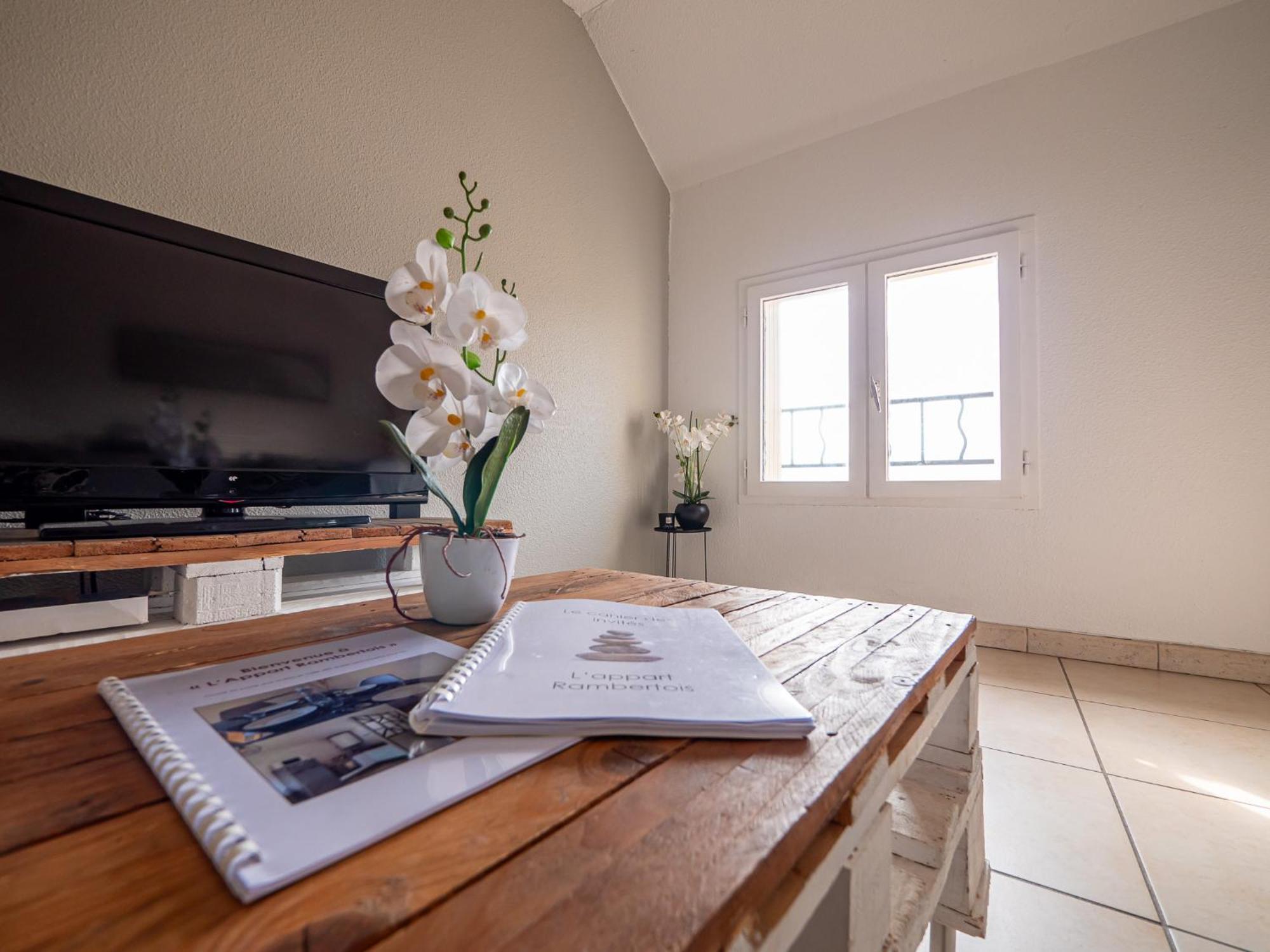 Appartement Chaleureux Avec 2 Grandes Chambres Saint-Rambert-dʼAlbon 외부 사진